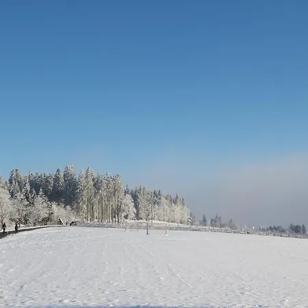 Appartement Welcome In - Nr 511 Mit Terrasse Und Eigenem Parkplatz Winterberg